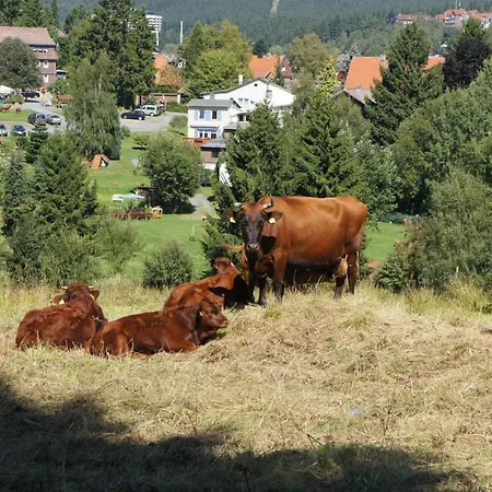 Haus Leni Am Paulsberg Braunlage