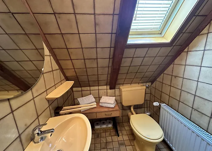 Haus Leni Am Paulsberg Tatil Evi Braunlage