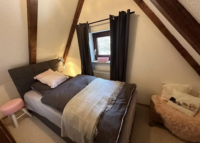 Haus Leni Am Paulsberg Braunlage