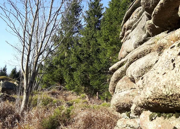 Tatil Evi Haus Leni Am Paulsberg *