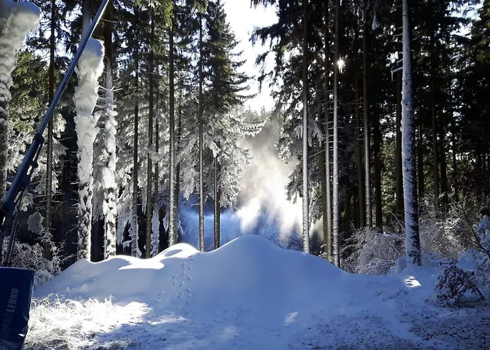 Haus Leni Am Paulsberg