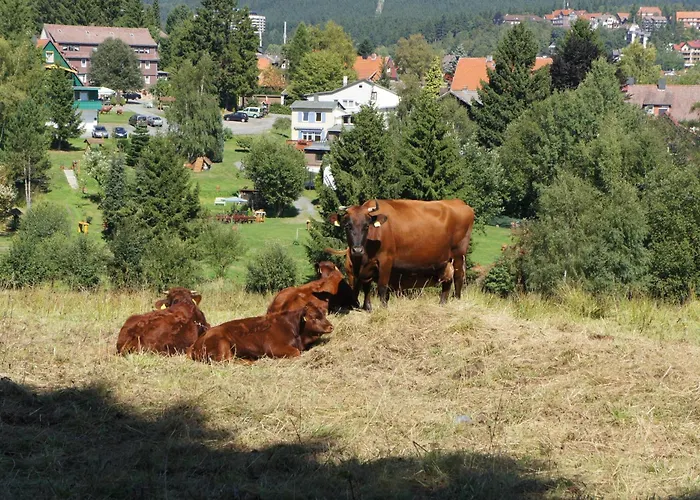 Haus Leni Am Paulsberg Braunlage